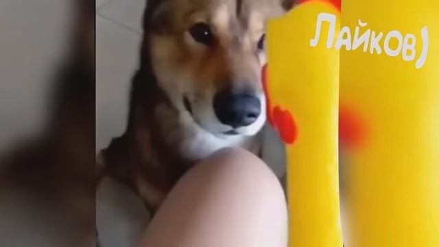 АНТИСТРЕСС ДО 100 РУБЛЕЙ НА ALIEXPRESS смотреть онлайн