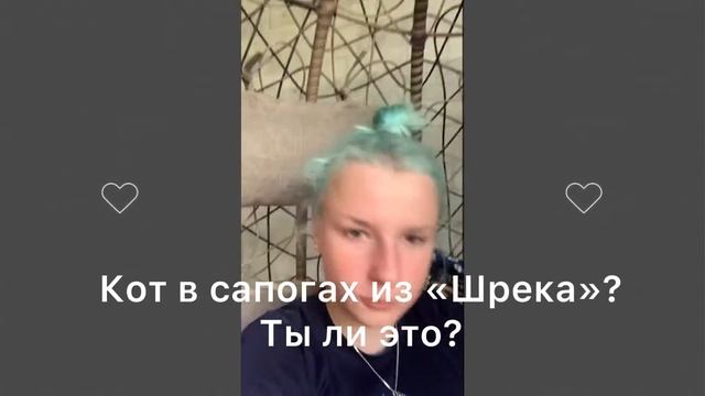 ✨Стань своей мечтой /// Любовь к себе, чтение, уборка /// День 4 - четверг ///✨ смотреть онлайн
