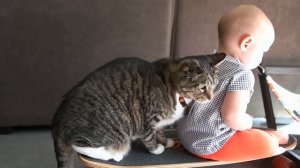 Baby and cat enjoy precious skateboard ride together