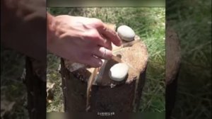 подготовка финской свечи