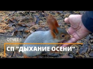 #сп_дыхание_осени #вязание_с_валентиной_романчук  СП "ДЫХАНИЕ ОСЕНИ". Отчет 1.