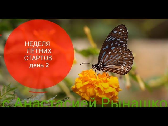#летниестарты_с_рынашко Детская кофта "Бабочка" День 2.
