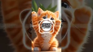 мяу мяу мяу мяу мяу мияу