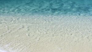 Кения на связи (26 кристальных дней)