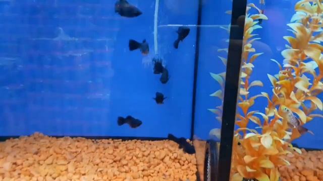 ПОЕЗДКА В ГОРОД🌝СТРОИТЕЛЬНЫЙ МАГАЗИН ДЕПО❄ПОКУПКИ❤ смотреть онлайн