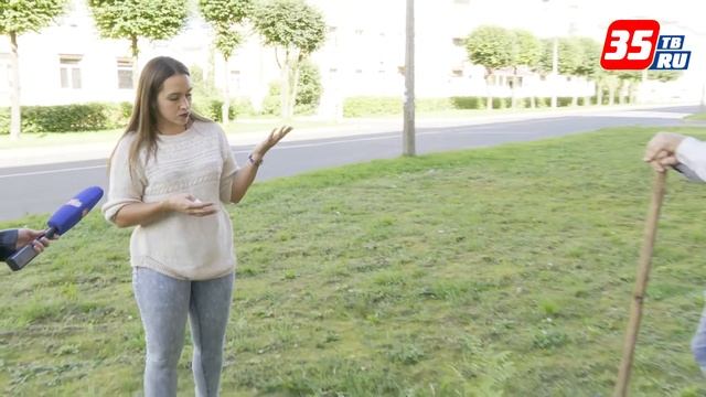 Посадить Аллею Дружбы приглашают горожан череповецкие активисты