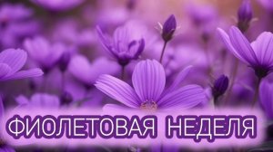 СП "РАДУГА 3" с Людмилой Краснопëровой/ фиолетовая неделя/ участник 25
