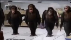 Обезьяны танцуют бренкданс под музыку уууу ааа уу аа