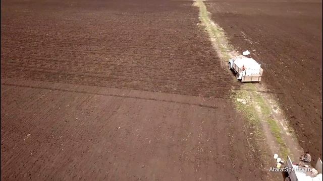как сажают картофель в Ахалкалаки смотреть онлайн