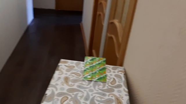 Уборка #101 окно роботом и прихожая) (2 сезон) смотреть онлайн