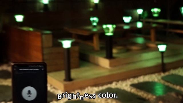 solar smart lawn light：APP control+music mode