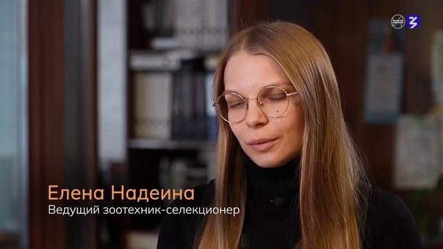 Видеоролик о предприятии 10-11 класс Россия мои горизонты 24 апреля 2025