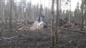 Харвестер в работе