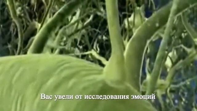 Плеядианцы - послание Землянам !