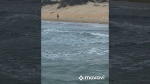 Вечером на море 20.04.2025 г. Анапа. Россия.