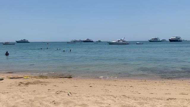 Обзор пляжа в Хургаде. Нашли не дорогой и хороший пляж. смотреть онлайн