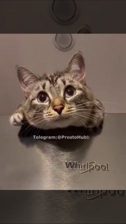 а я бы поел:(