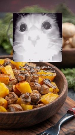 А если это действительно из твоей, ммммм 🤌🏼🤌🏼🤌🏼🤌🏼#рецепты #кулинария #мем #мемы #еда #food