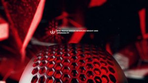 SENTINEL LTD KNEE GUARD