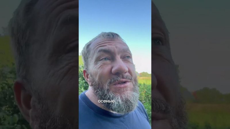 Главная мысль этого дня☝