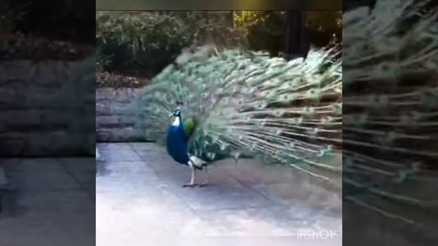 31 января 2023 г. смотреть онлайн