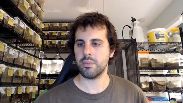 Roach Crossing Weekly General Livestream May 30th 2024 PART 2