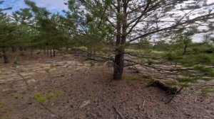 НАШЕЛ  ГОРУ КОЛЕС С ДИСКАМИ !!! Тракторные кузова ! И тонны железа в тайге !