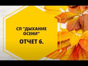 #сп_дыхание_осени #вязание_с_валентиной_романчук СП "ДЫХАНИЕ ОСЕНИ". Отчет 6.