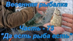 Весенняя рыбалка. Часть - 75. "Да есть рыба есть".