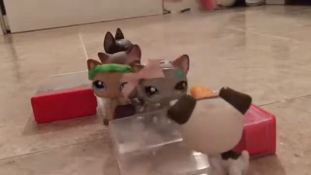 LPS сериал Сумасшедший отпуск 1 серия