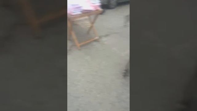 Трикатажный рынок смотреть онлайн