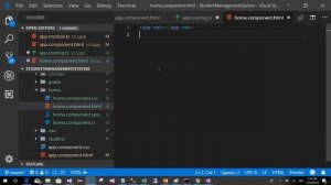 Angular in Amharic Part 15 Routing