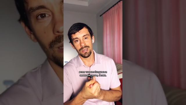 Как правильно составлять основные приёмы пищи. 🍽️