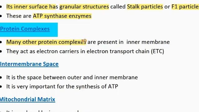 Mitochondria structure and function - mitochondria | cell-structure & function | ilmi stars academy