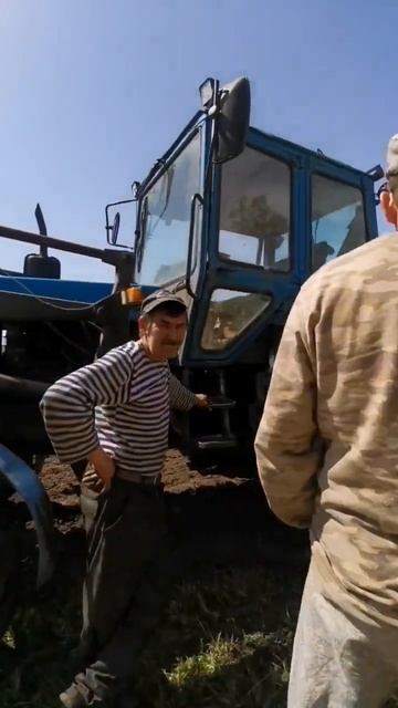 #сеем #бороним #донник #эспарцет #фацелия #пасекаклимовых смотреть онлайн