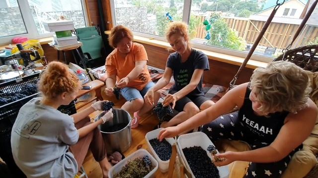 Сбор урожая в Орехово. смотреть онлайн