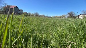 Крым г.Феодосия ул.Вишневая - 12 соток