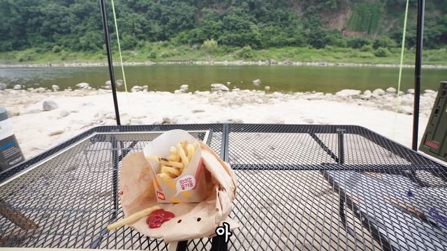 여자 혼자 노지 차박 갔다가 렉카 부르고 난리가 난 🐶고생 캠핑