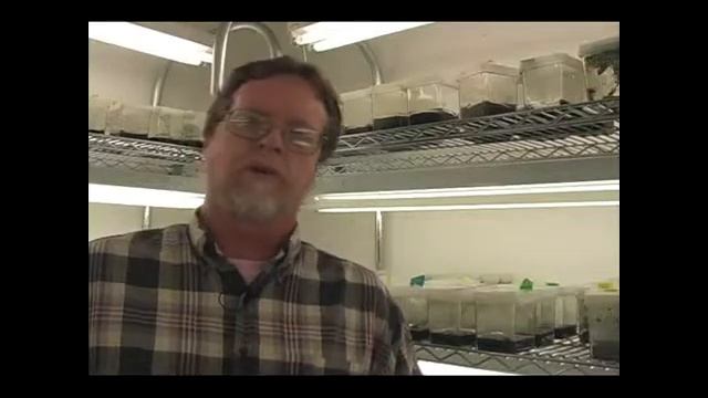 Florida Citrus Hall of Fame 2010 Inductee Harold B. McTeer смотреть онлайн