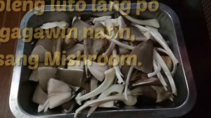 Mushroom sa Dayami (Rice Straw) Part1 | Buhay Probinsya