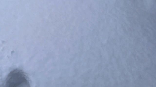 Уборка и новогодний декор кухни! Зимнее настроение на даче в декабре #милыйдом смотреть онлайн