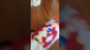 VID20250420095509.mp4