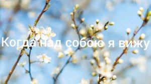 Когда над собою я вижу Христианская песня.