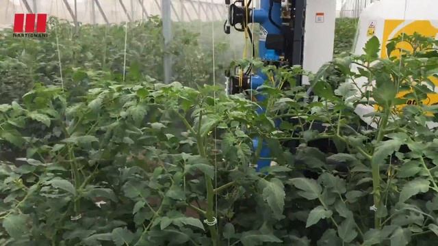 "Martignani Fumimatic", Self Propelled Mist-Blower, Treatment of Vegetables in Greenhouse смотреть онлайн