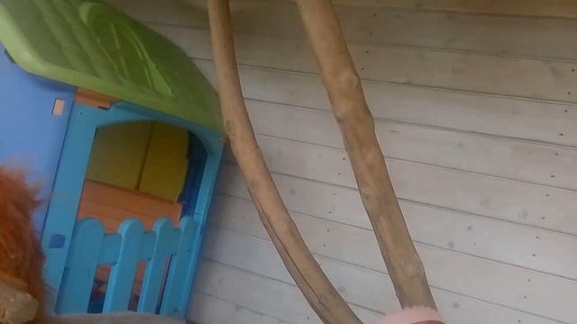 Шаловливые ручонки (яванская макака Фёдор) смотреть онлайн