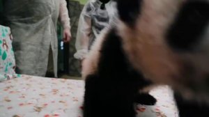 Архивное видео: замер роста Катюши 🥰