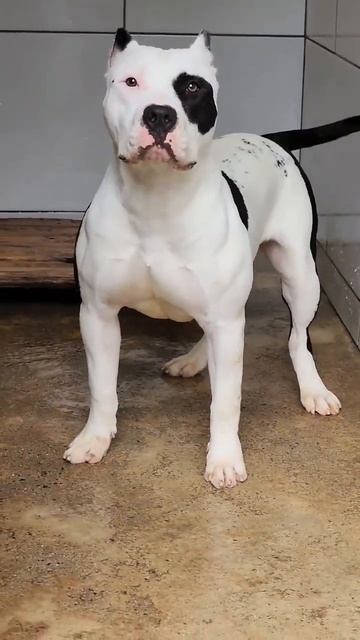 mating available смотреть онлайн