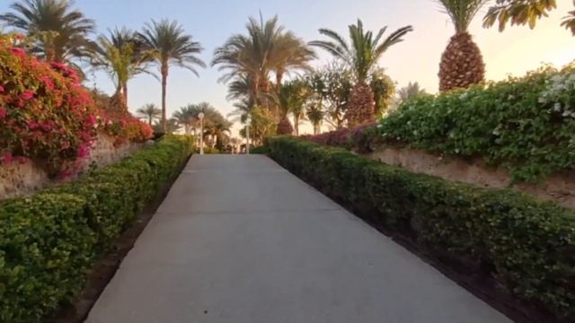 Египет. STELLA DI MARE 5*. Обзор отеля и номера на вилле. Sharm El Sheikh Март 2024 смотреть онлайн