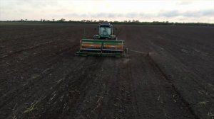 ПОСЕВ ПРОСА ПОСЛЕ СИДЕРАТА