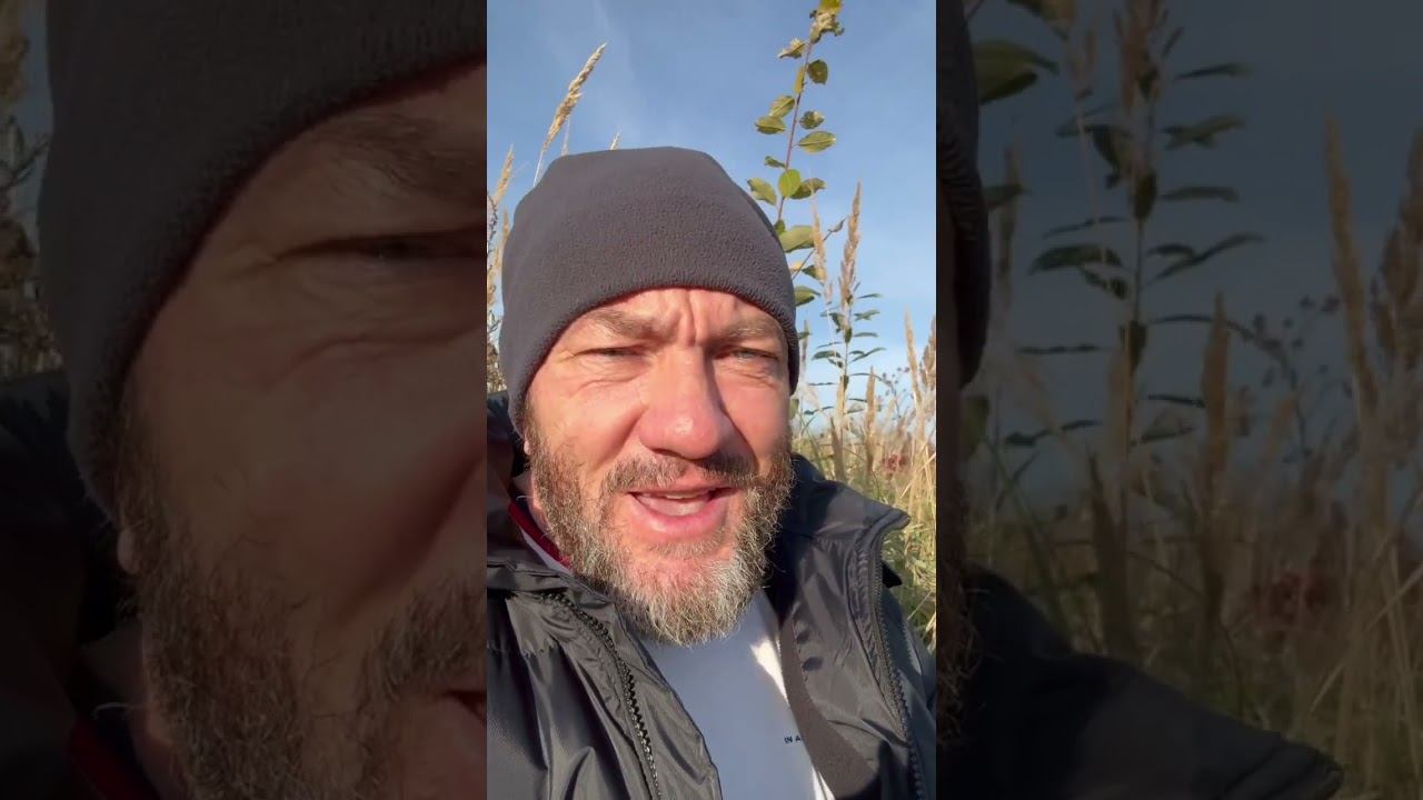 Правда о Европе в стихах